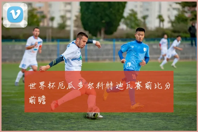 世界杯厄瓜多尔科特迪瓦赛前比分前瞻