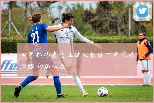 世界杯格鲁吉亚波兰教练冲突完成救赎全场回放