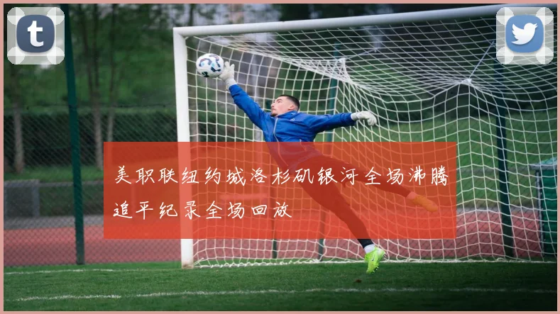 美职联纽约城洛杉矶银河全场沸腾追平纪录全场回放