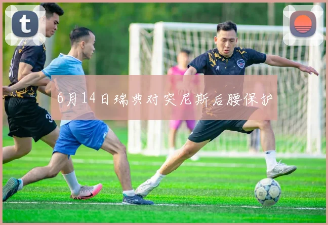 6月14日瑞典对突尼斯后腰保护