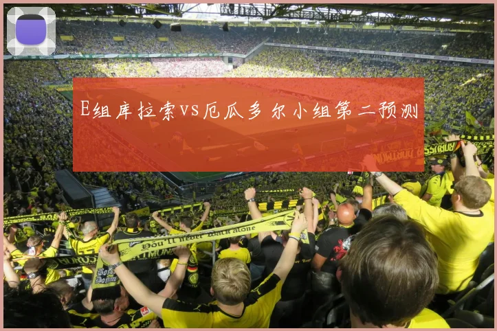E组库拉索vs厄瓜多尔小组第二预测