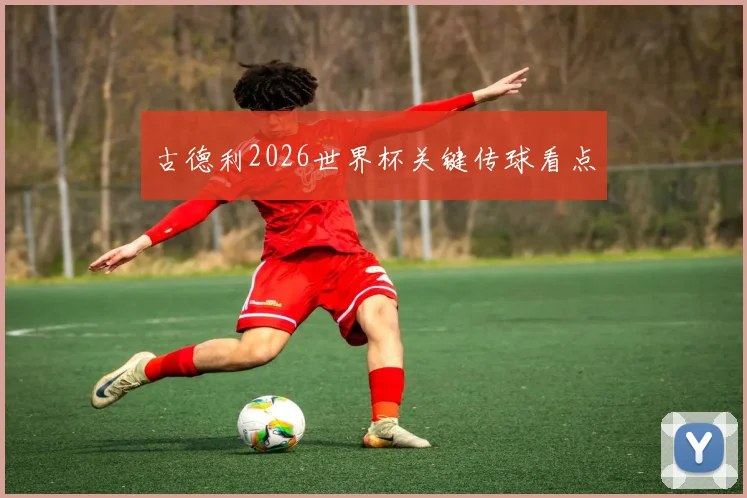 古德利2026世界杯关键传球看点